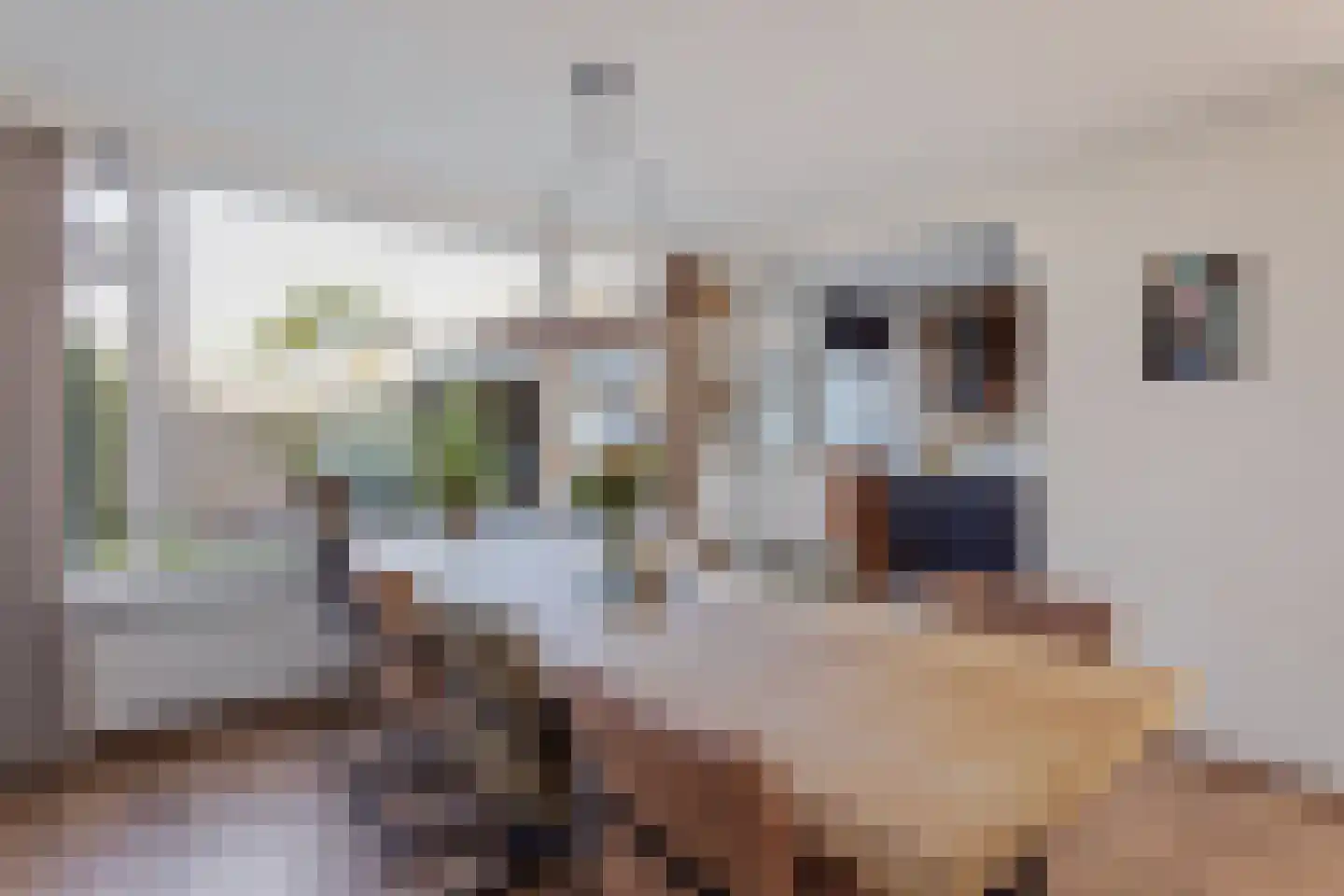 Boterbloemstraat 6 Denekamp thumbnail 4