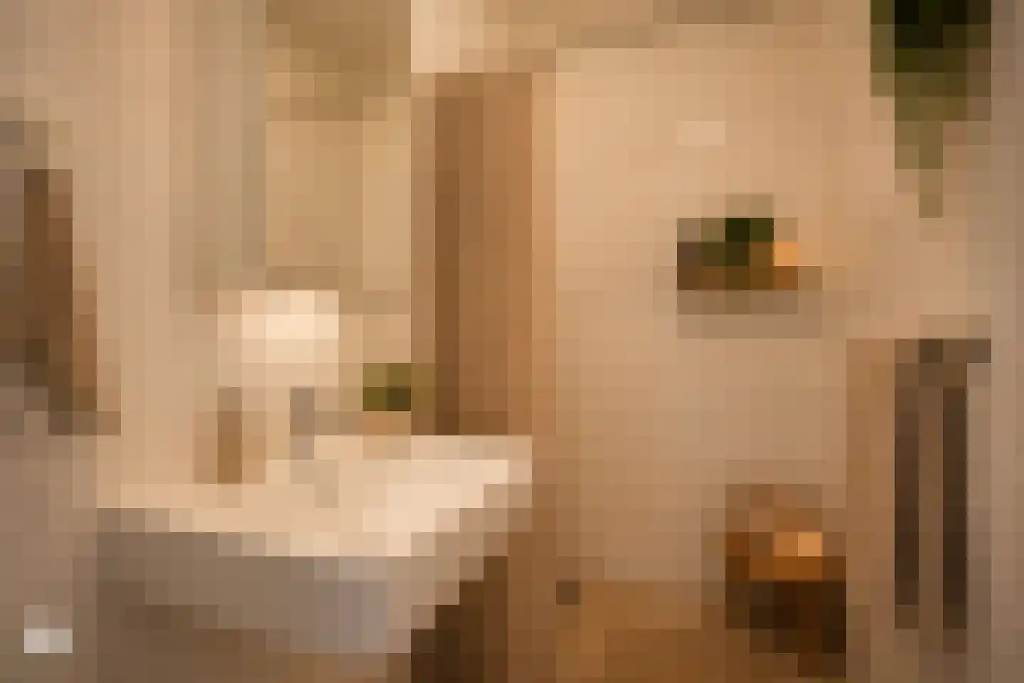Boterbloemstraat 61 Amsterdam thumbnail 32