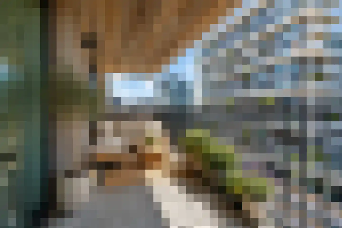 Boterbloemstraat 61 Amsterdam thumbnail 4