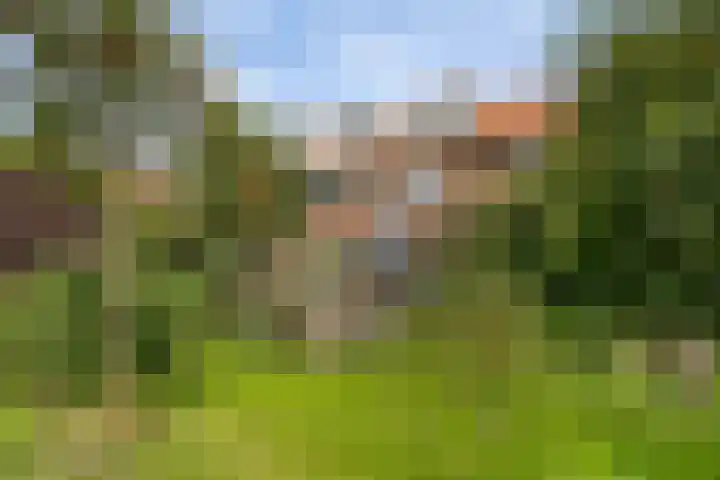 Boterbloemstraat 7 Alkmaar thumbnail 41