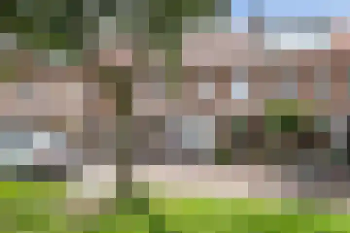 Boterbloemstraat 7 Alkmaar thumbnail 8