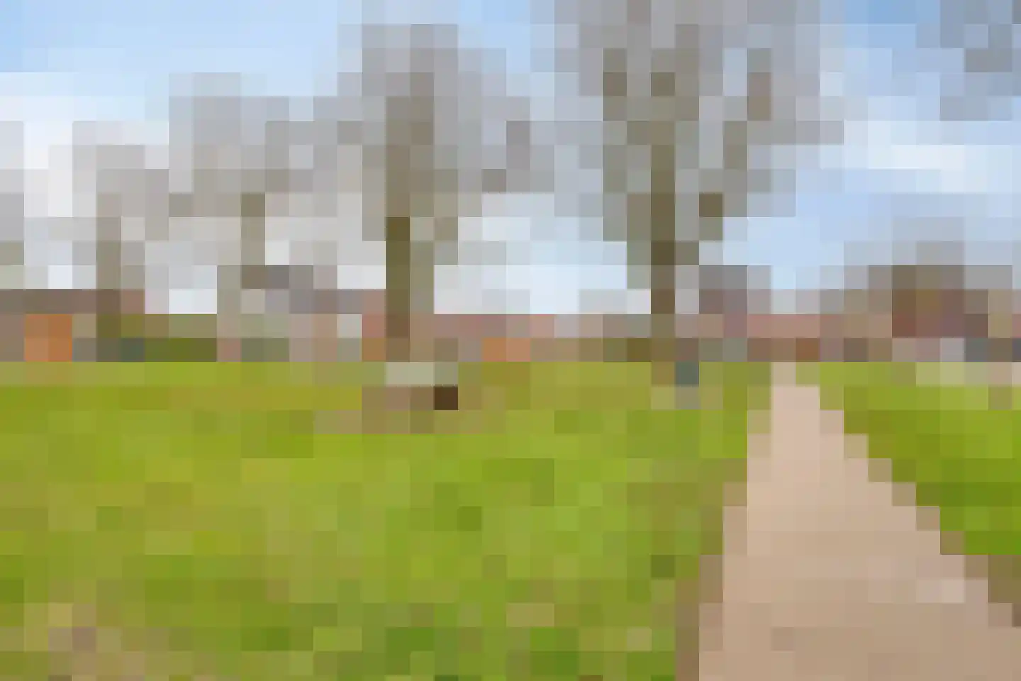 Boterbloemstraat 9 Bergeijk thumbnail 19