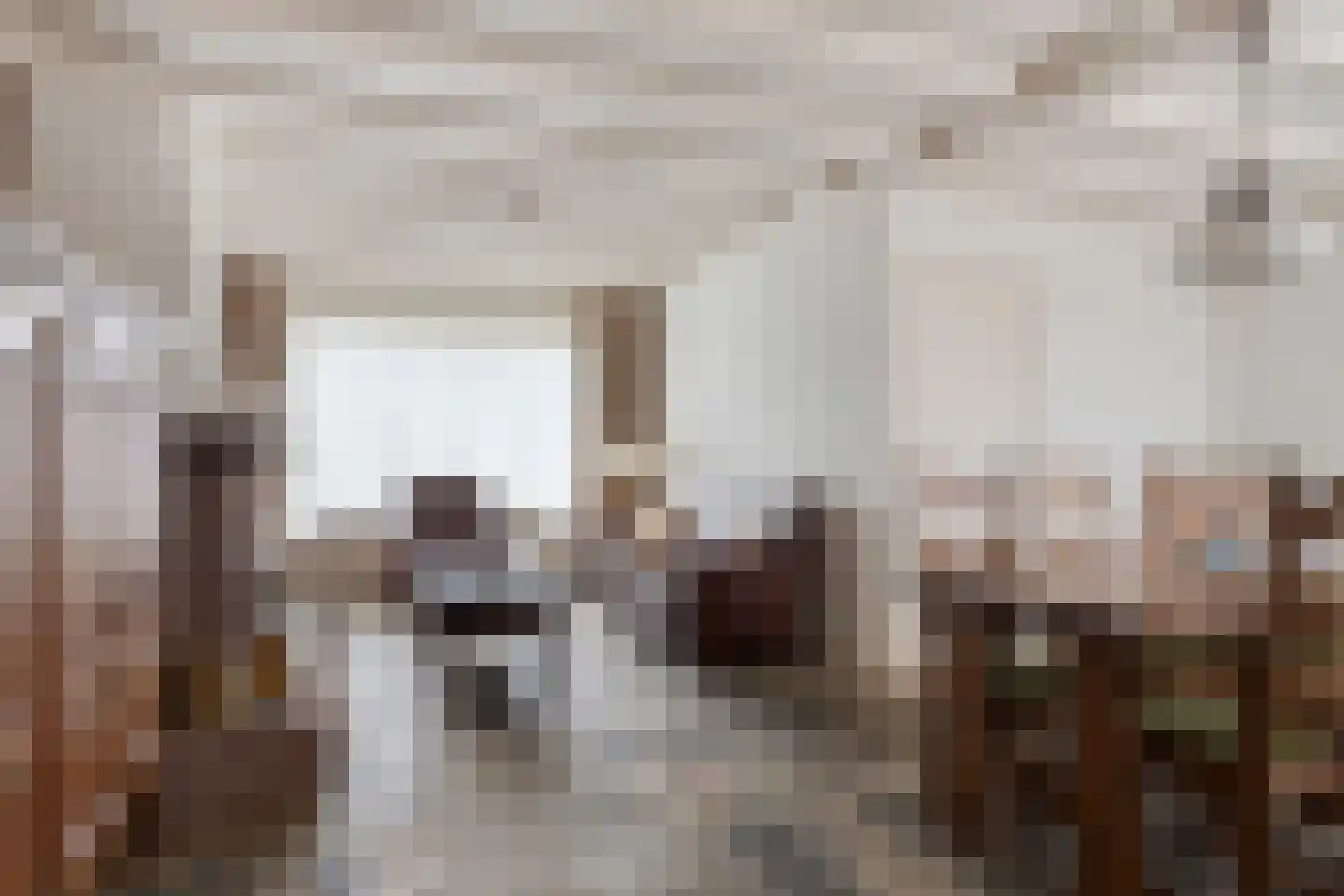 Boterbloemstraat 9 Bergeijk thumbnail 6
