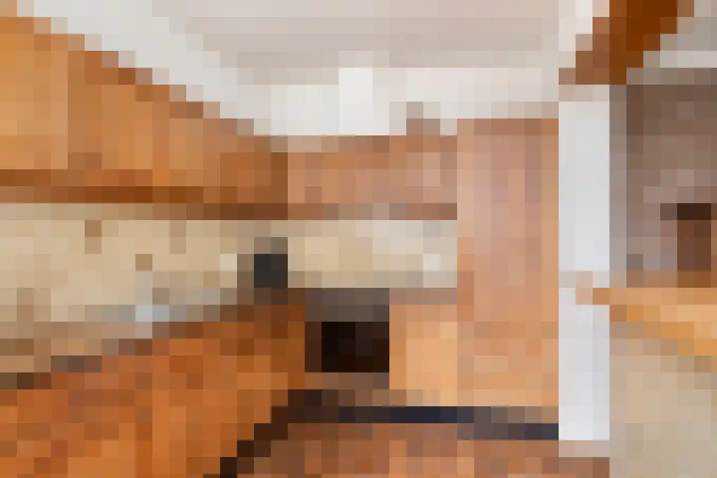 Boterbloemstraat 9 Bergeijk thumbnail 8