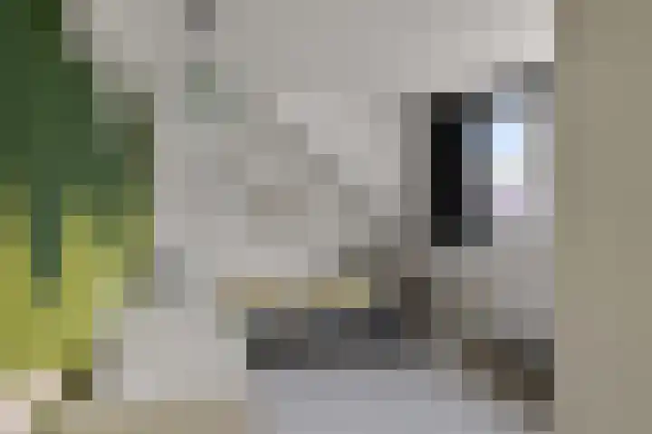 Boterbloemweg 17 Alphen aan den Rijn thumbnail 23