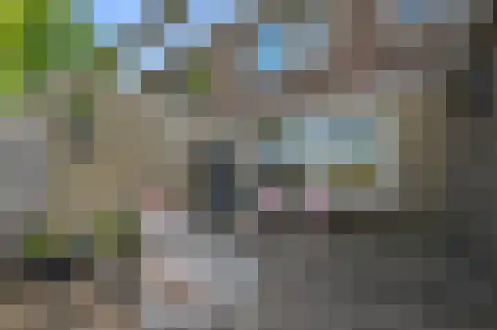 Boterbloemweg 17 Alphen aan den Rijn thumbnail 26
