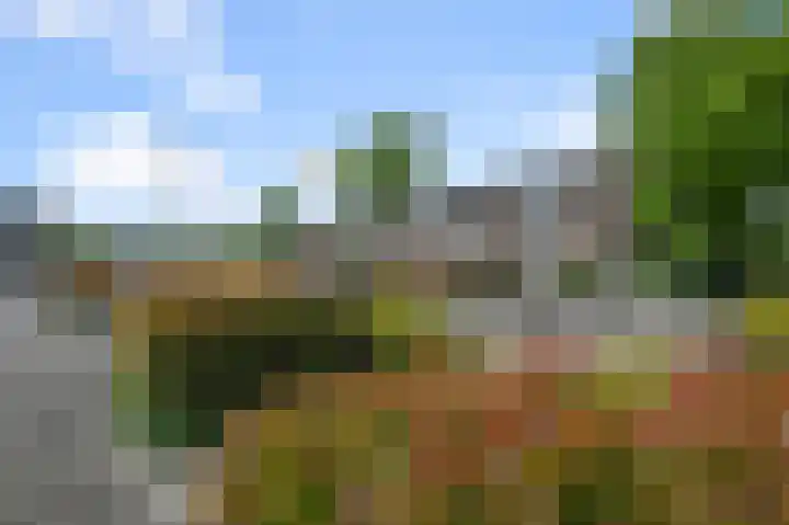Boterbloemweg 17 Alphen aan den Rijn thumbnail 28