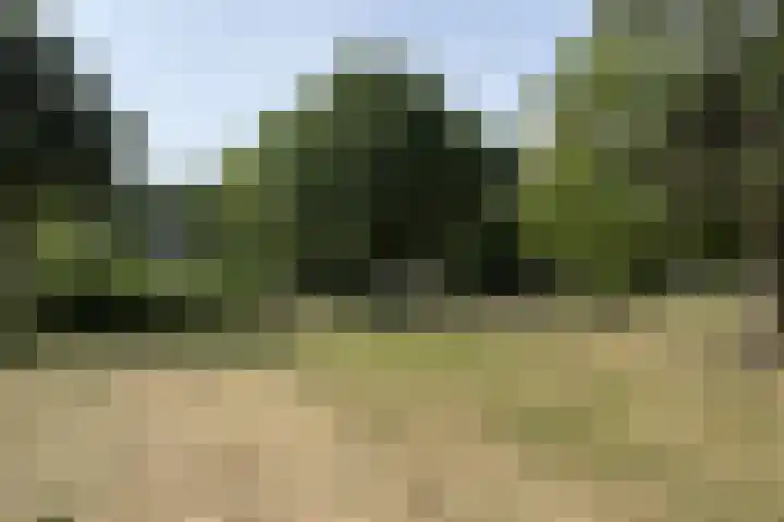 Boterbloemweg 17 Alphen aan den Rijn thumbnail 29