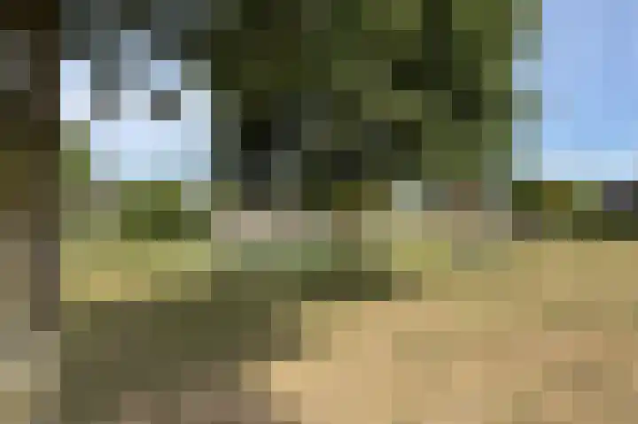 Boterbloemweg 17 Alphen aan den Rijn thumbnail 30