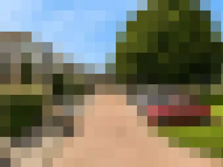 Boterbloemweg 17 Zaandam thumbnail 34
