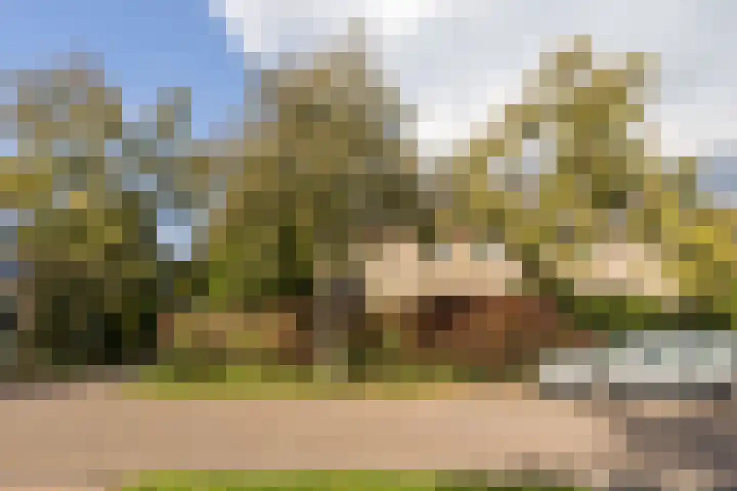 Boterbloemweg 21 Bergen (NH) thumbnail 39