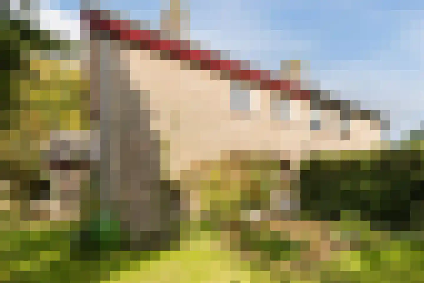 Boterbloemweg 21 Bergen (NH) thumbnail 43