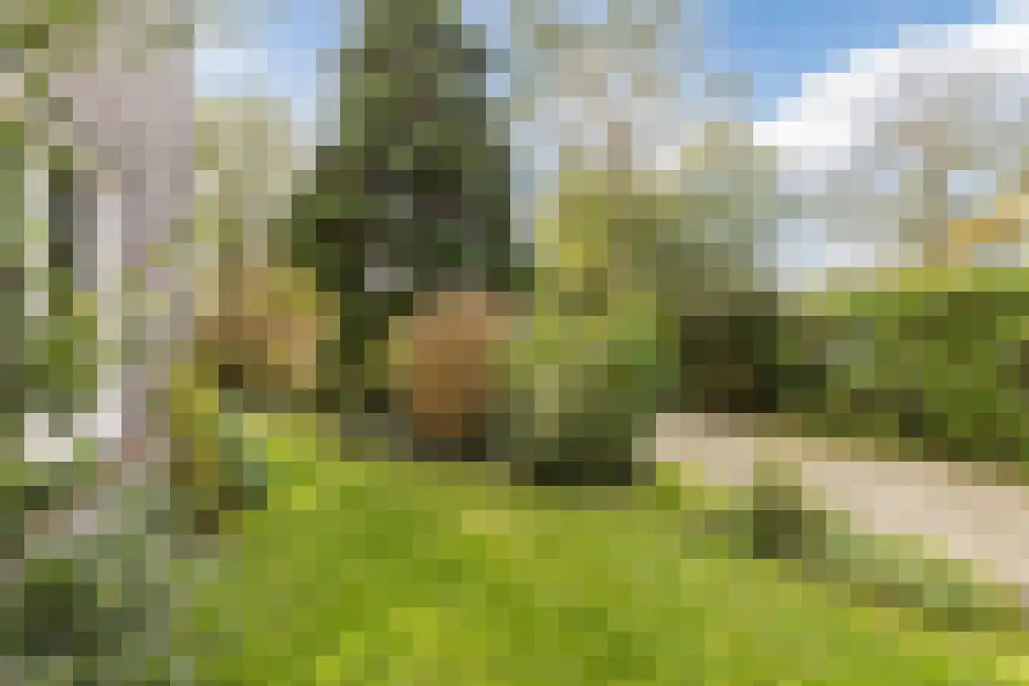 Boterbloemweg 21 Bergen (NH) thumbnail 48