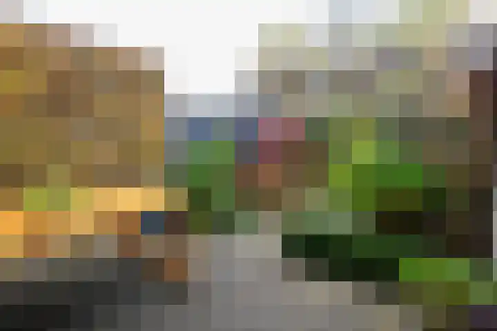 Boterbloemweg 27 Alphen aan den Rijn thumbnail 19