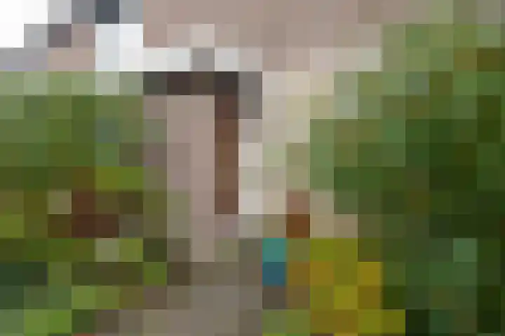 Boterbloemweg 27 Alphen aan den Rijn thumbnail 23