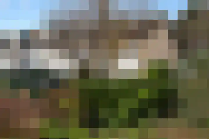 Boterbloemweg 36 Zwolle thumbnail 26