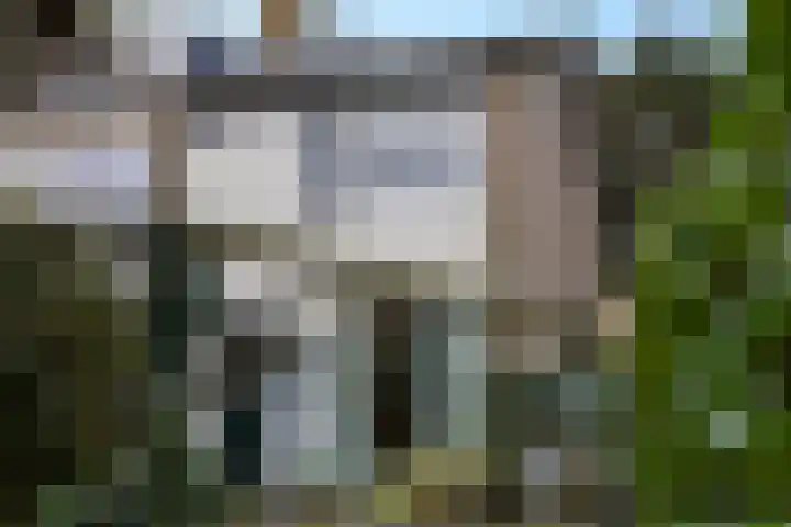 Boterbloemweg 36 Zwolle thumbnail 27