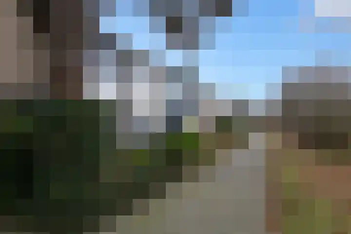 Boterbloemweg 36 Zwolle thumbnail 32