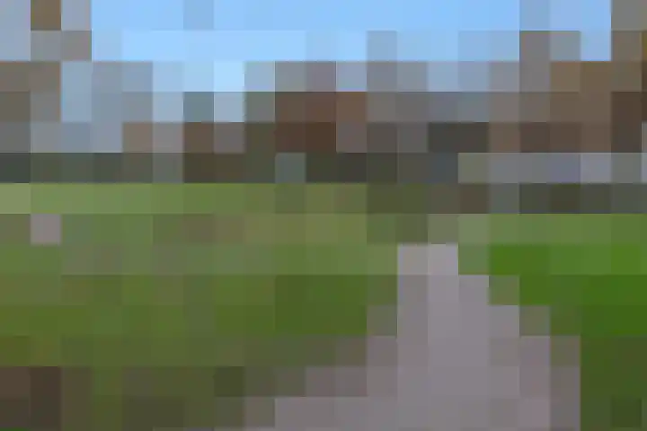 Boterbloemweg 36 Zwolle thumbnail 33
