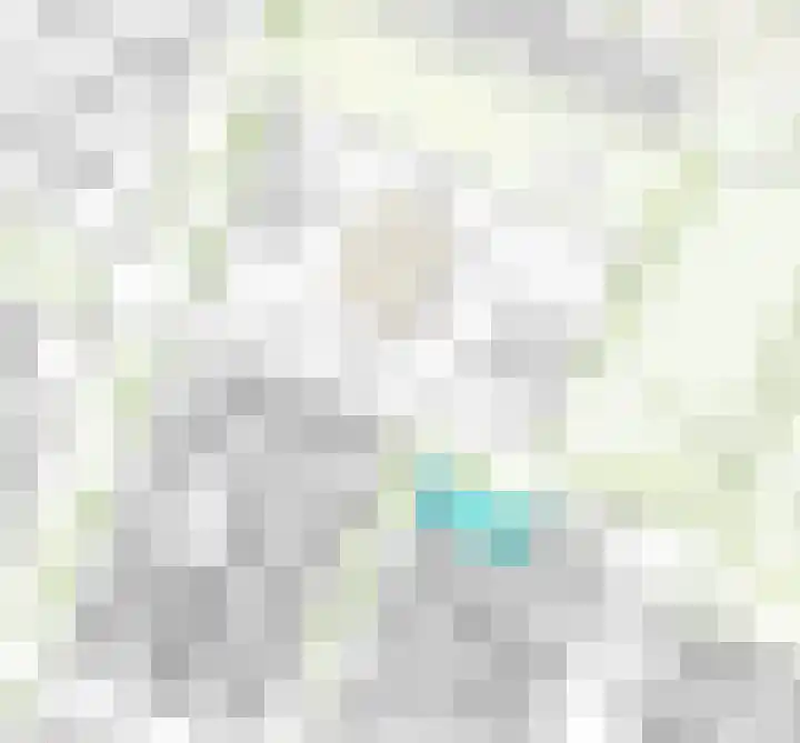 Boterbloemweg 36 Zwolle thumbnail 38