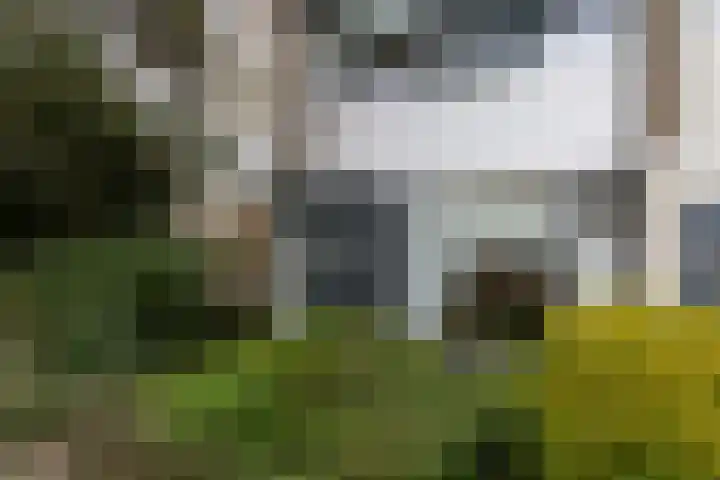 Boterbloemweg 36 Zwolle thumbnail 4