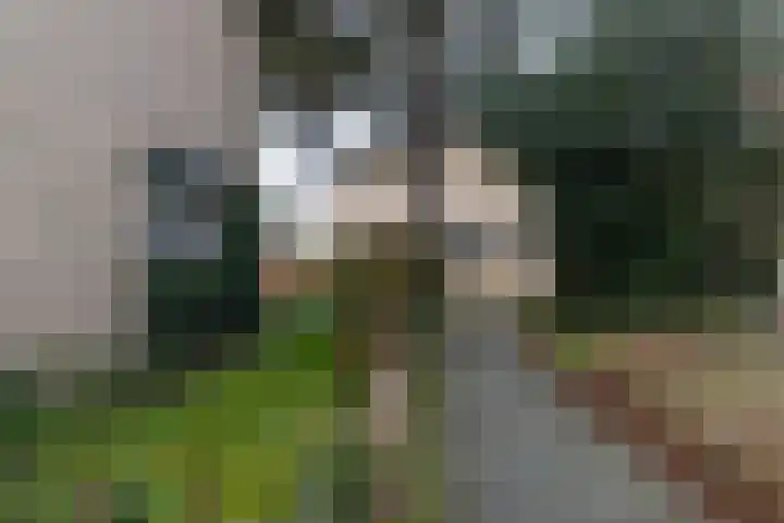 Boterbloemweg 36 Zwolle thumbnail 5