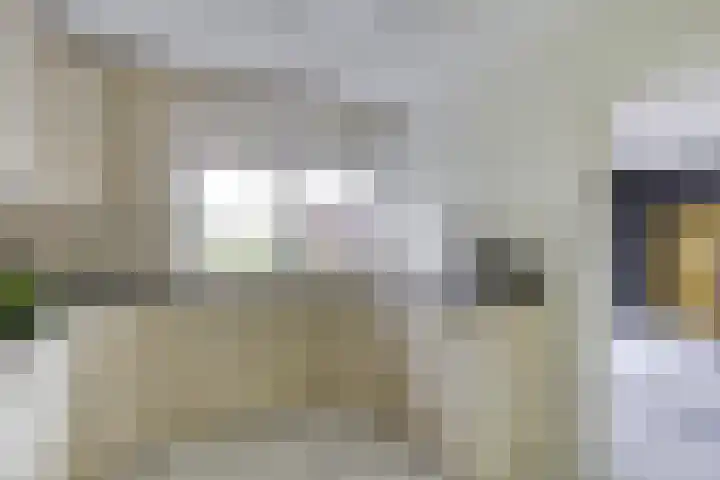 Boterbloemweide 10 Swifterbant thumbnail 14