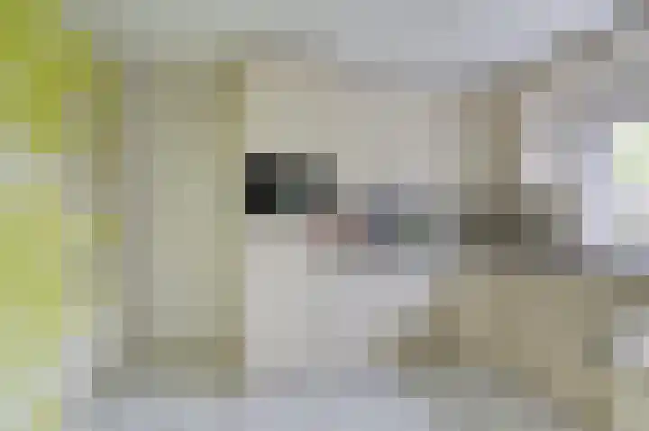 Boterbloemweide 10 Swifterbant thumbnail 15