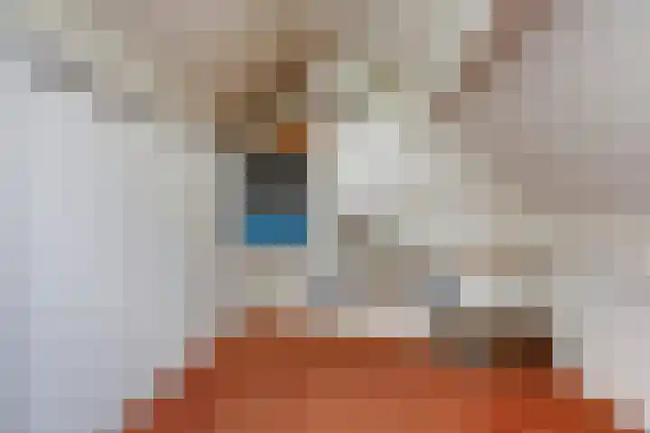 Boterbloemweide 10 Swifterbant thumbnail 29