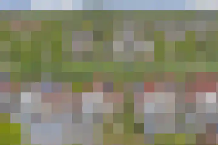Boterbloemweide 10 Swifterbant thumbnail 32