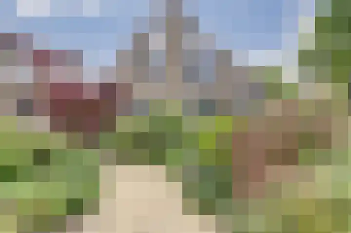 Boterbloemweide 10 Swifterbant thumbnail 34