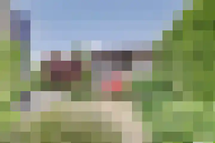 Boterbloemweide 10 Swifterbant thumbnail 35