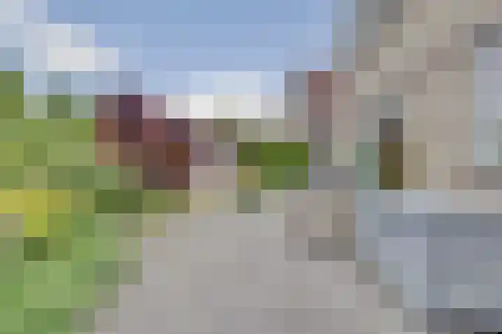 Boterbloemweide 10 Swifterbant thumbnail 36