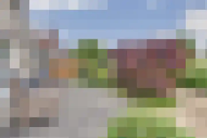Boterbloemweide 10 Swifterbant thumbnail 37