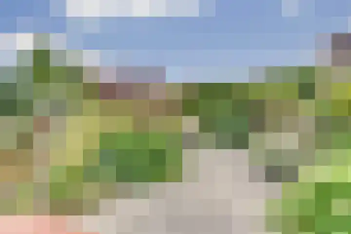 Boterbloemweide 10 Swifterbant thumbnail 38