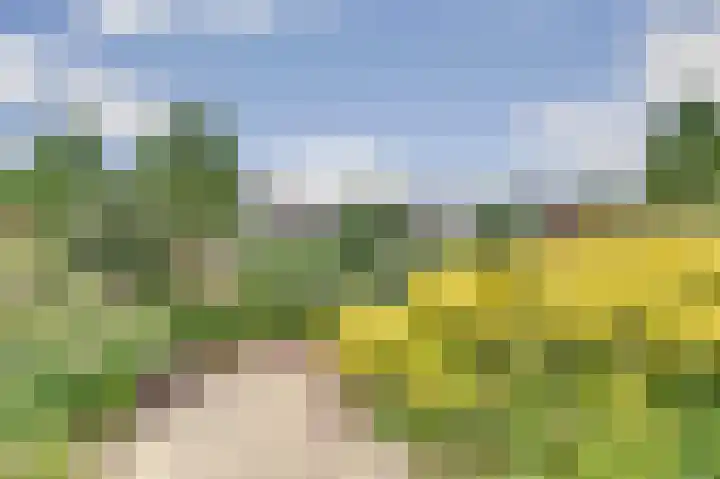 Boterbloemweide 10 Swifterbant thumbnail 39