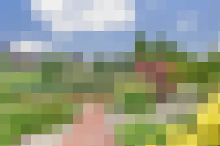 Boterbloemweide 10 Swifterbant thumbnail 40