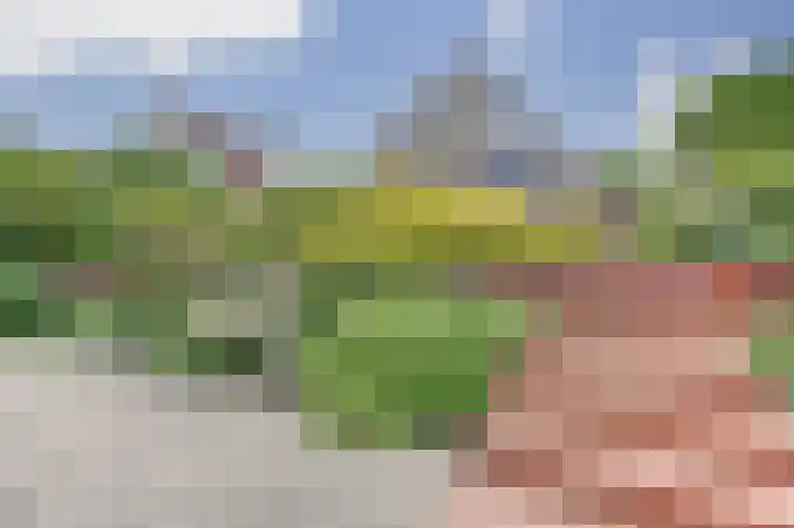 Boterbloemweide 10 Swifterbant thumbnail 41