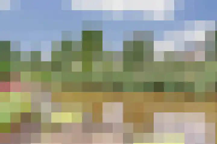 Boterbloemweide 10 Swifterbant thumbnail 42