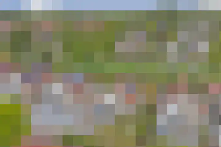 Boterbloemweide 10 Swifterbant thumbnail 43