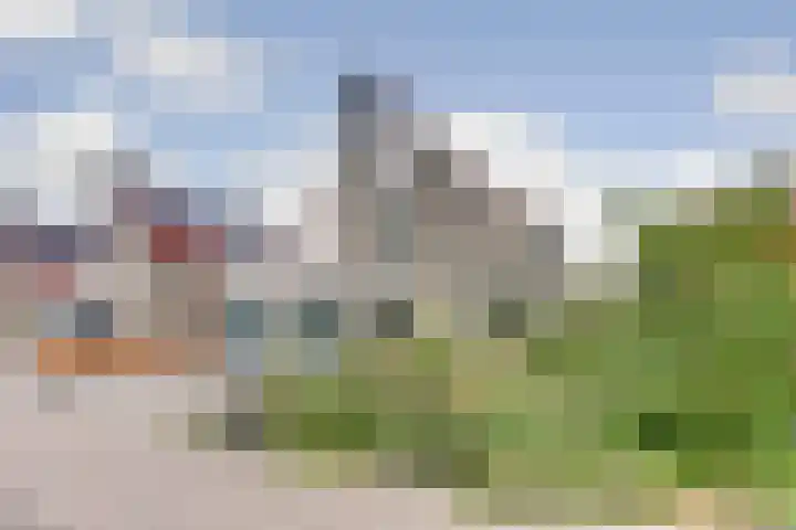 Boterbloemweide 10 Swifterbant thumbnail 44