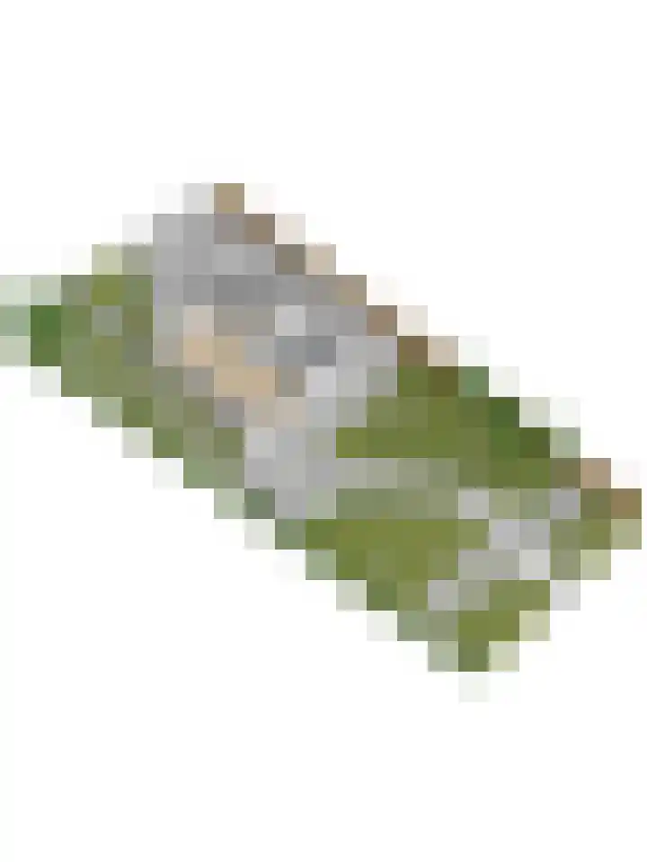Boterbloemweide 10 Swifterbant thumbnail 52