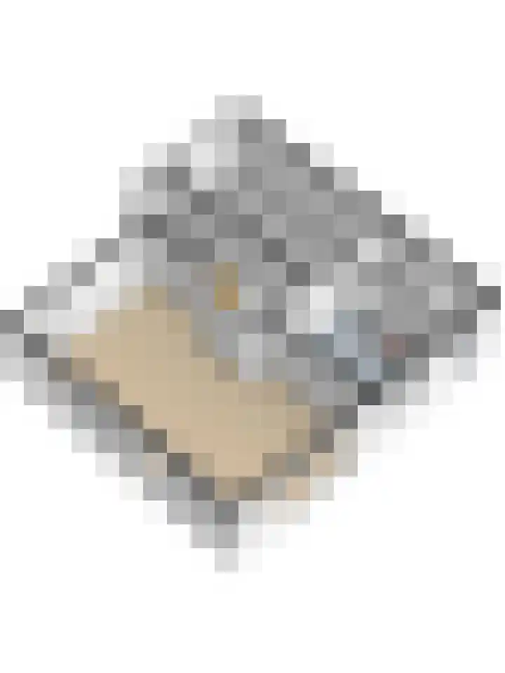 Boterbloemweide 10 Swifterbant thumbnail 53