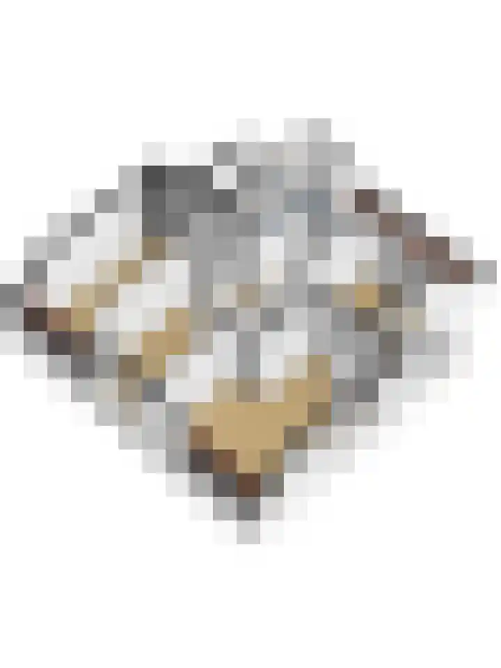 Boterbloemweide 10 Swifterbant thumbnail 54