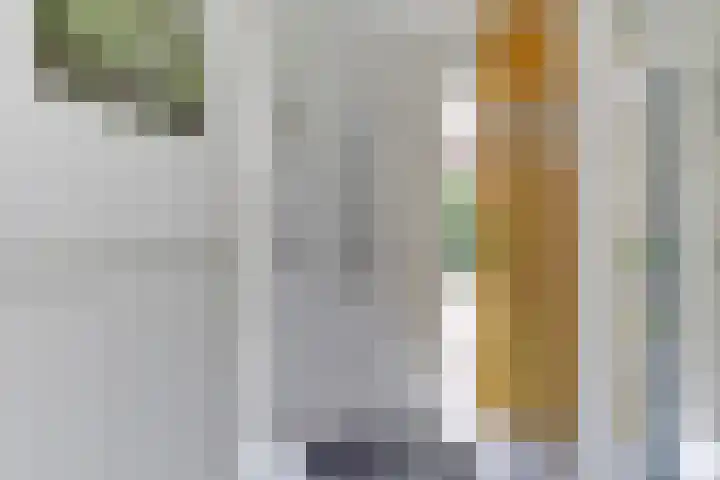 Boterbloemweide 10 Swifterbant thumbnail 6