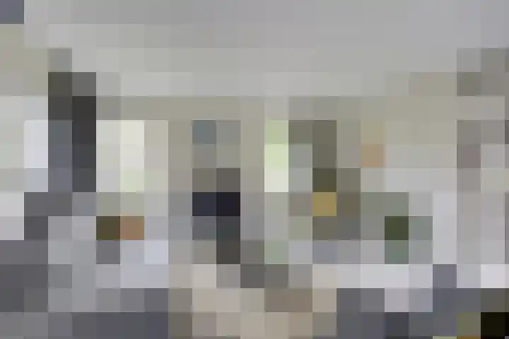 Boterbloemweide 10 Swifterbant thumbnail 9