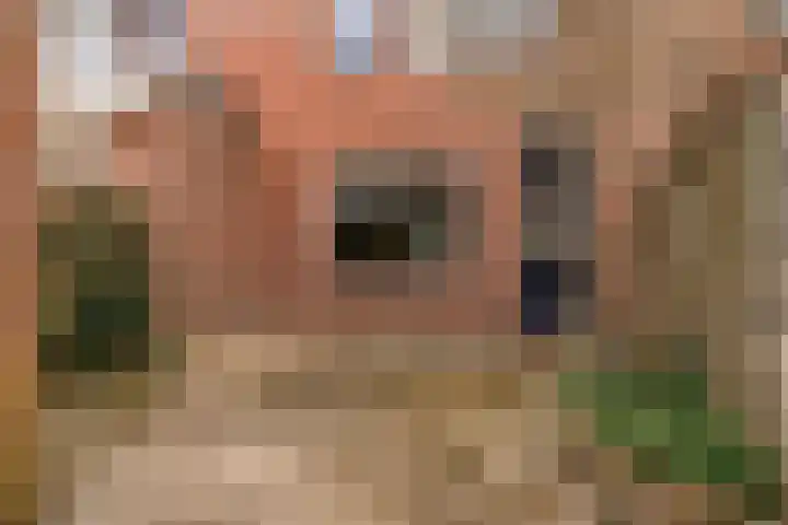 Boterbloemweide 120 Woerden thumbnail 26