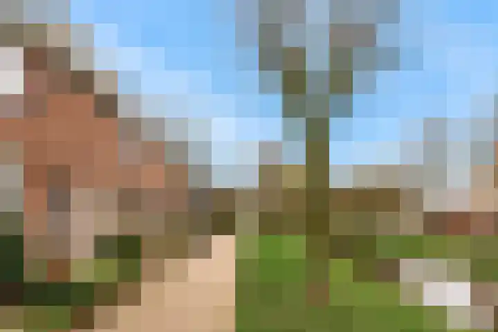 Boterbloemweide 120 Woerden thumbnail 29