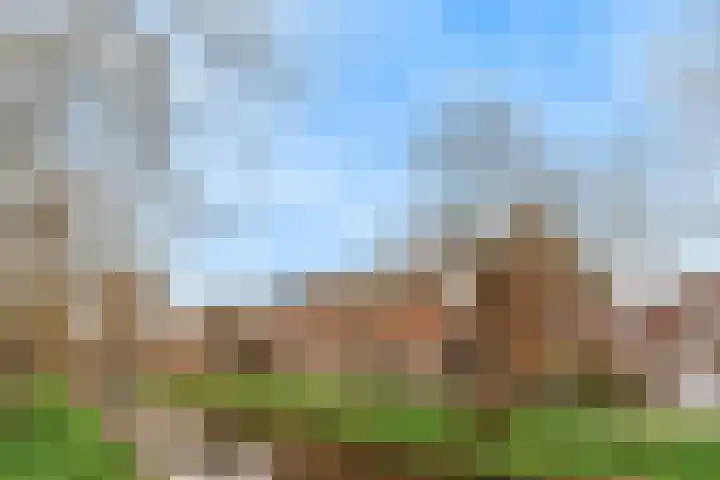 Boterbloemweide 120 Woerden thumbnail 31