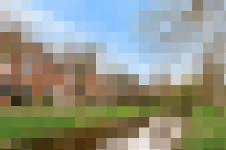 Boterbloemweide 120 Woerden thumbnail 32